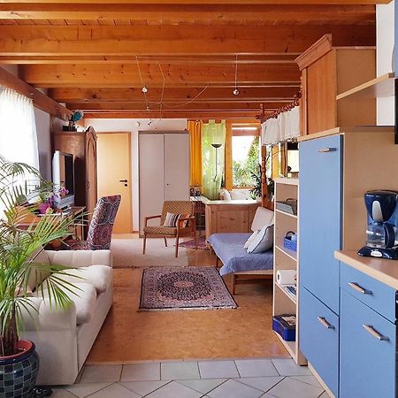Zentrale Ferienwohnung Auf Dem Schoenen Hunsrueck Halsenbach Eksteriør bilde