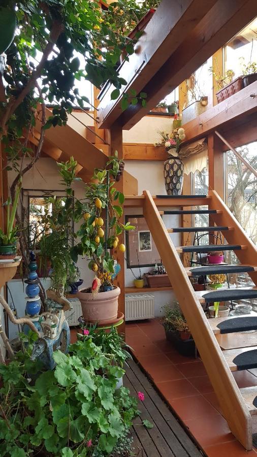 Zentrale Ferienwohnung Auf Dem Schoenen Hunsrueck Halsenbach Eksteriør bilde